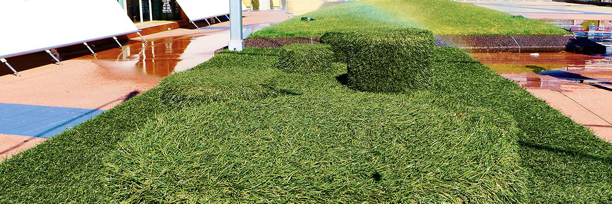 artificial-grass-installation